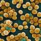 Illustration for article titled Not Even Science Could Explain the Bacteria In My Apartment